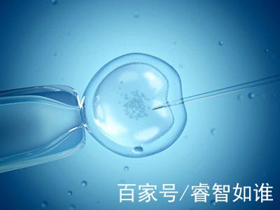 私人代怀公司
